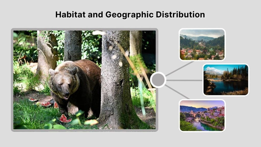 Habitat and Geographic Distribution