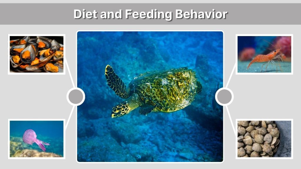 Diet and Feeding Behavior