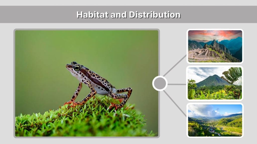 Habitat and Distribution
