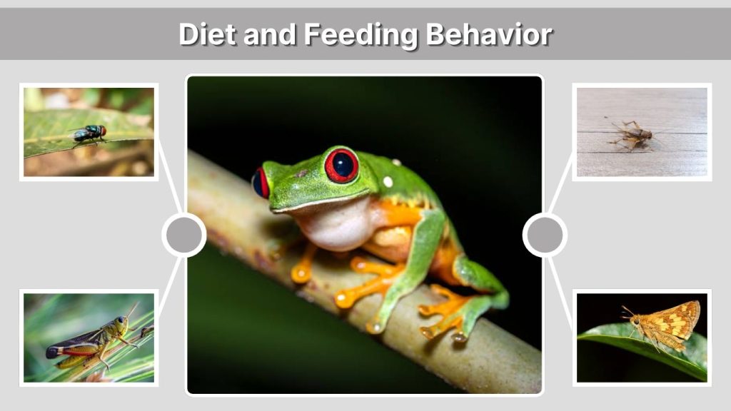 Diet and Feeding Behavior