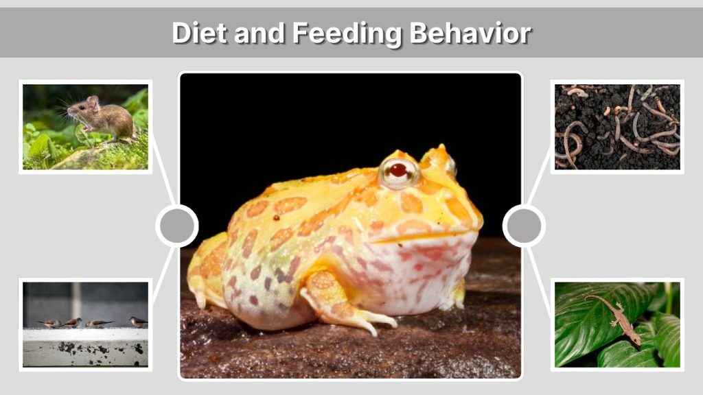 Diet and Feeding Behavior