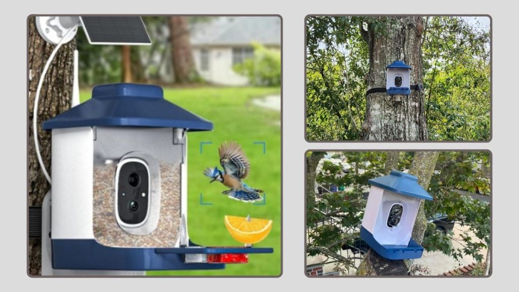 Bird Feeder with Camera, AI Bird Identification & Solar Powered
