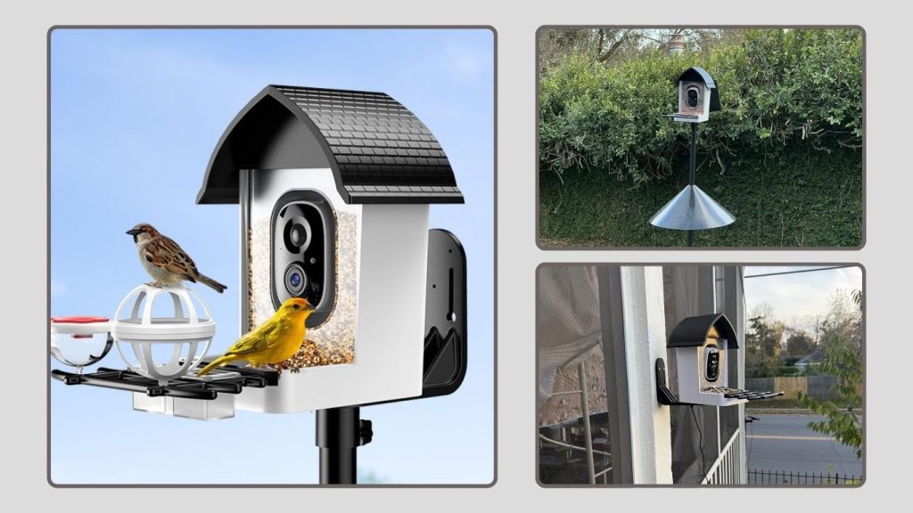 Smart Bird Feeder with Camera — 2K HD Live View & AI Identification