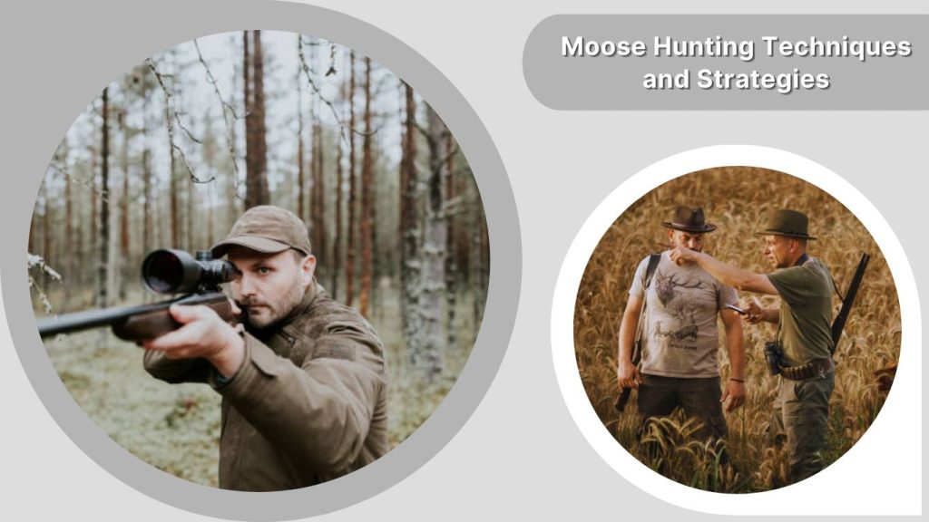 Moose Hunting Techniques and Strategies
