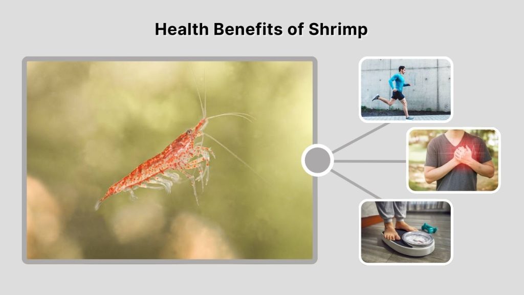 Health Benefits of Shrimp