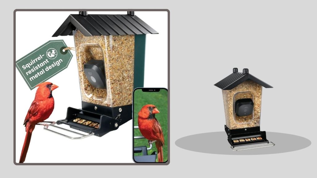 Perky-Pet Smart Bird Feeder Camera (Squirrel Resistant)