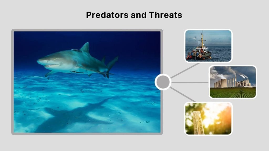 Predators and Threats