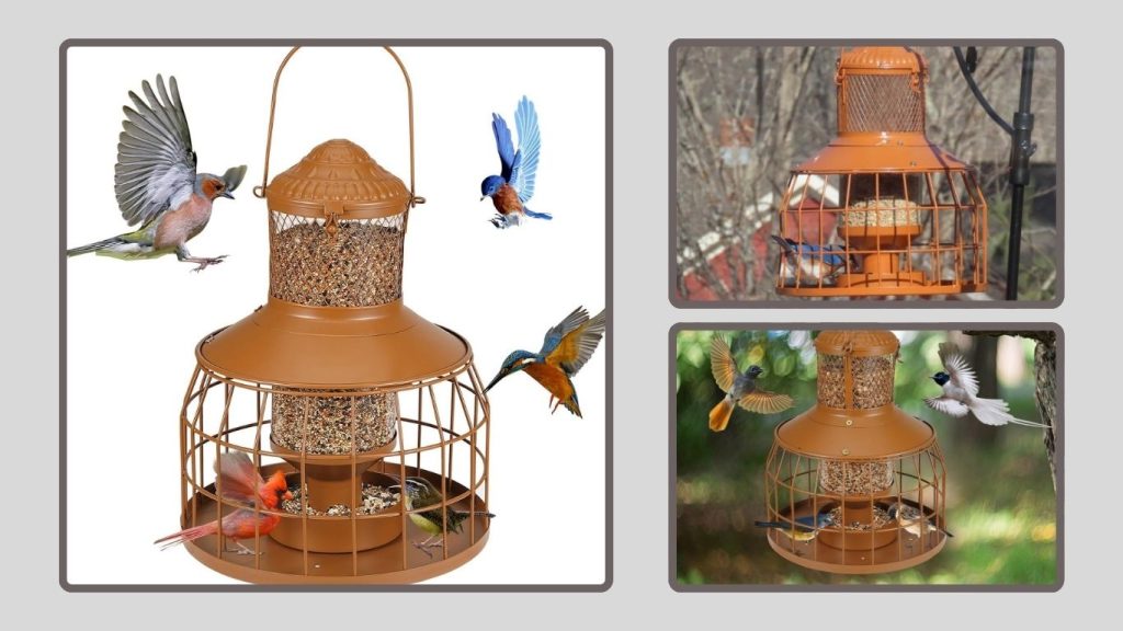  Squirrel Proof Outdoor Chew-Resistant Bird Feeder