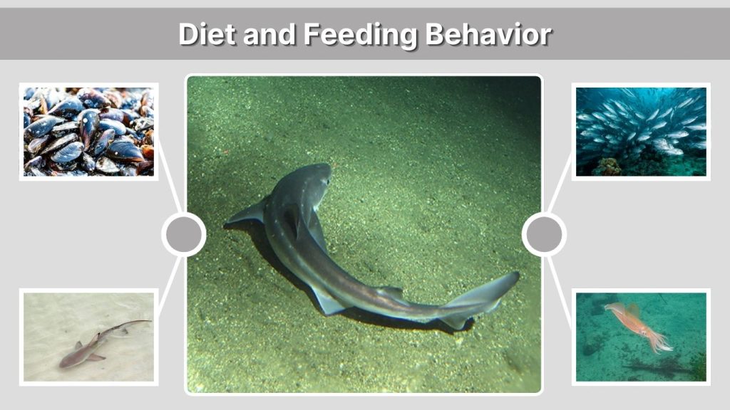 Diet and Feeding Behavior