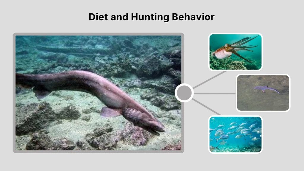 Diet and Hunting Behavior