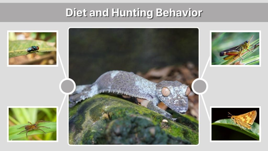 Diet and Hunting Behavior