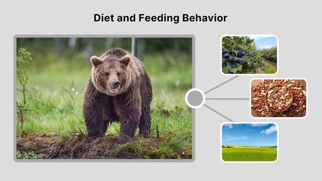 Diet and Feeding Behavior