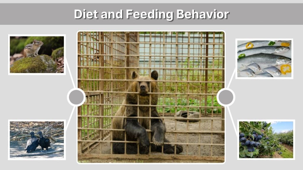 Diet and Feeding Behavior