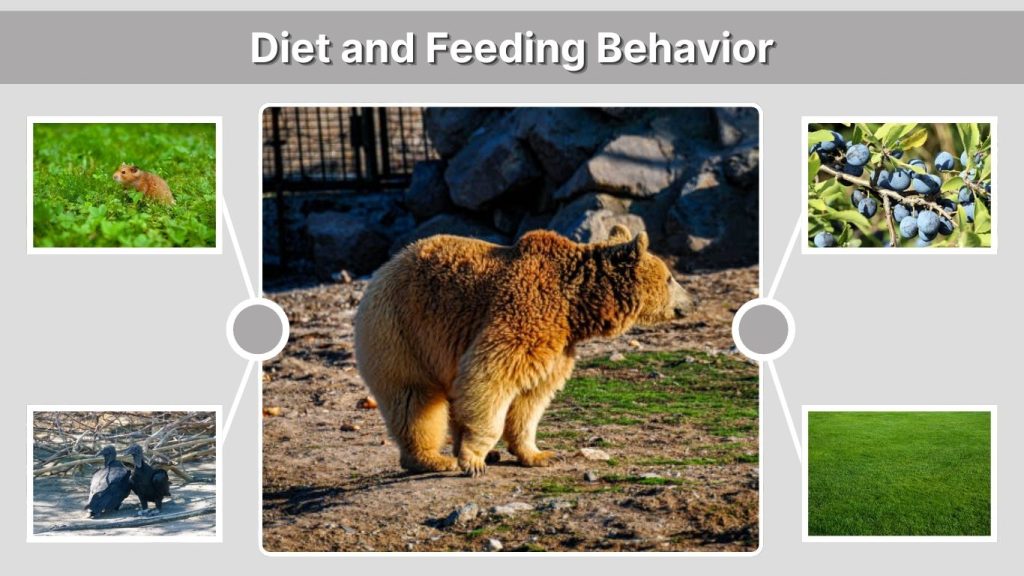 Diet and Feeding Behavior