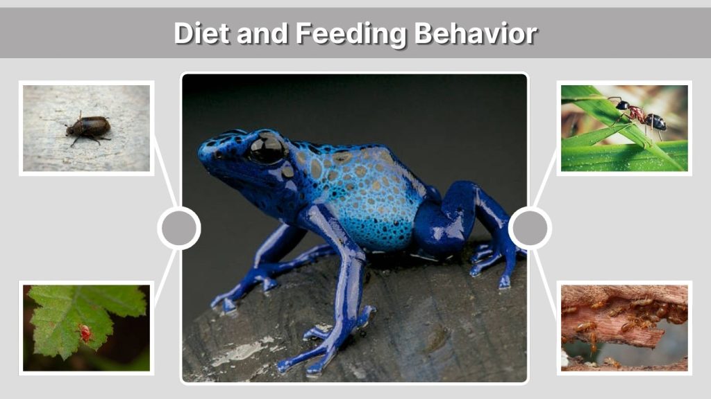 Diet and Feeding Behavior