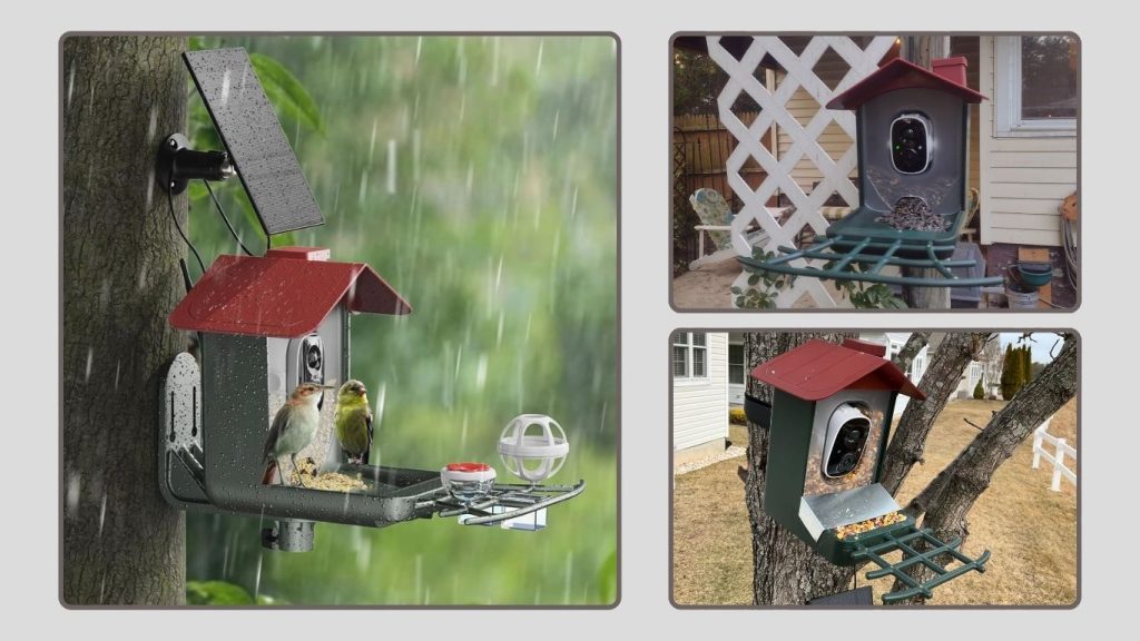 PEEIPM Outdoor Smart Bird Feeder Camera (Model B0D97WTXR2)