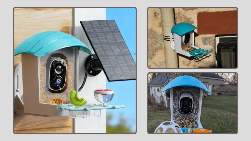 Bird Feeder with Camera Solar Powered: Smart Outdoor Birdwatching