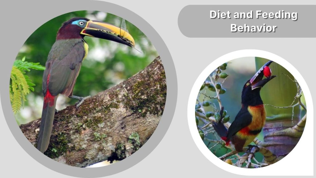 Diet and Feeding Behavior