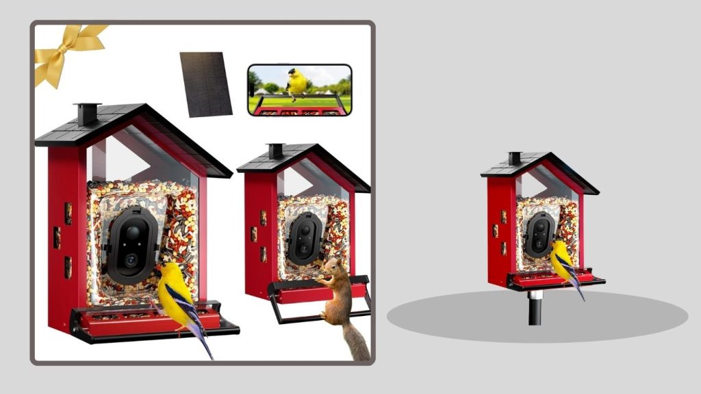 BBPECO Squirrel-Proof Smart Bird Feeder Camera