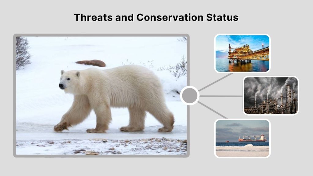 Threats and Conservation Status