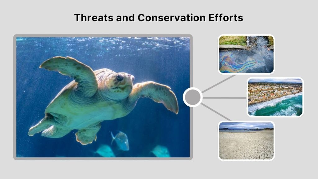 Threats and Conservation Efforts