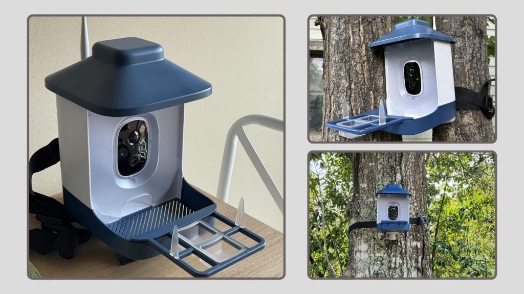 Solar Powered Smart Bird Feeder Camera for Outdoors (Model B0DWR3RL95)