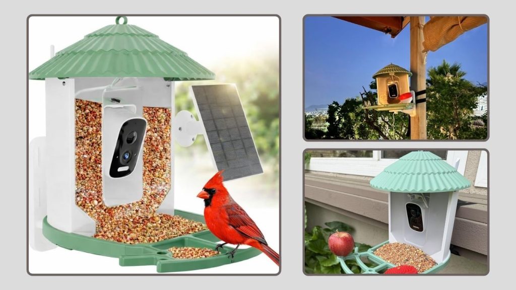 Birdfy Smart Hummingbird Feeder with Camera