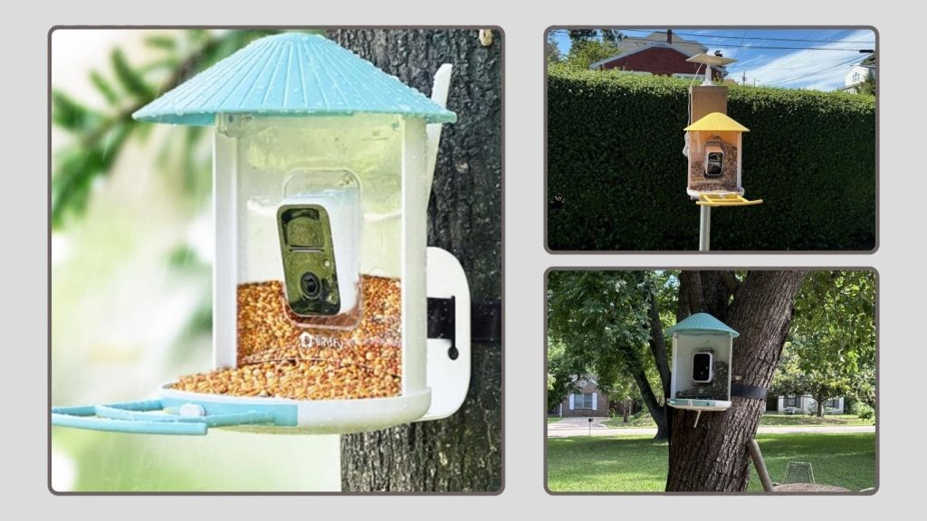 NETVUE by Birdfy Smart Bird Feeder with 2K AI Camera