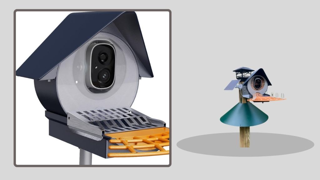 Birdkiss Smart Bird Feeder Camera (AI Identify)