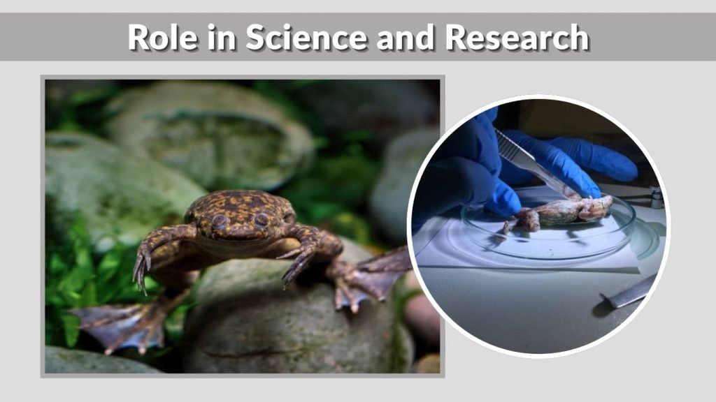 Role in Science and Research