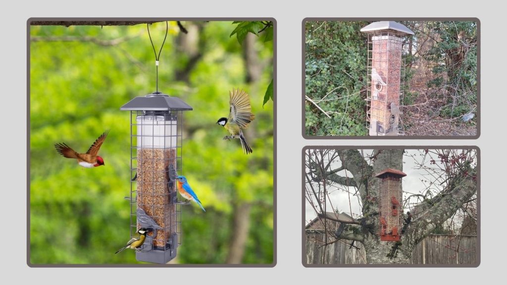 Squirrel Feeder Outside with Perches