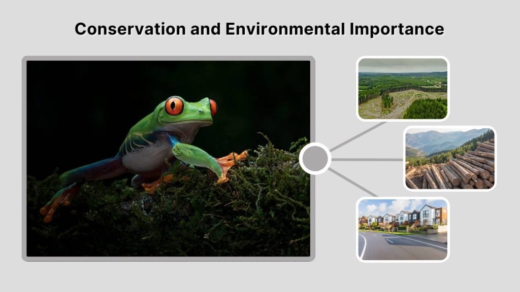 Conservation and Environmental Importance