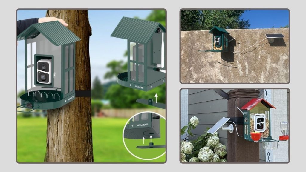 Soliom Bird Feeder with Camera & AI Species Identification