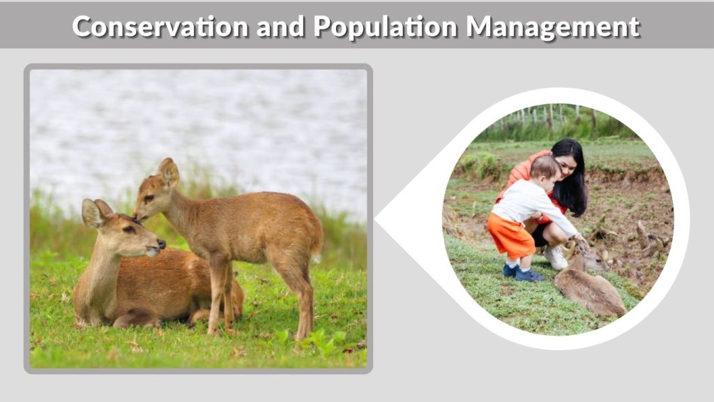 Conservation and Population Management