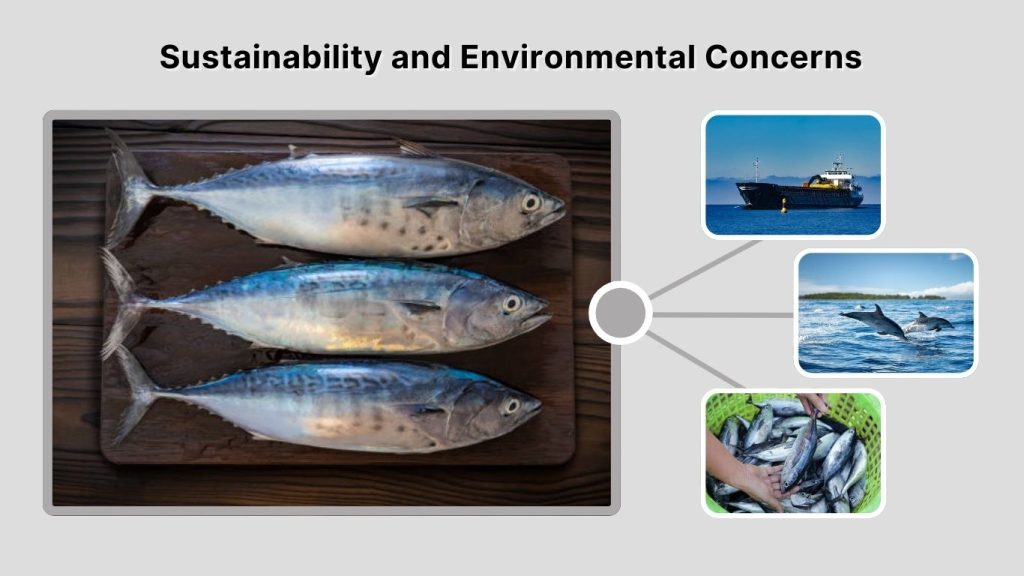 Sustainability and Environmental Concerns