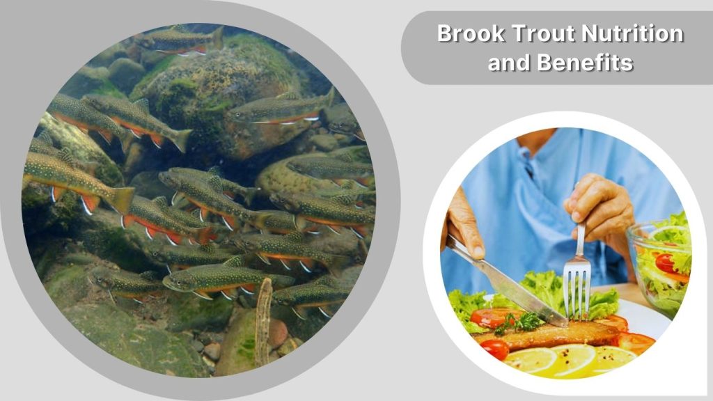 Brook Trout Nutrition and Benefits