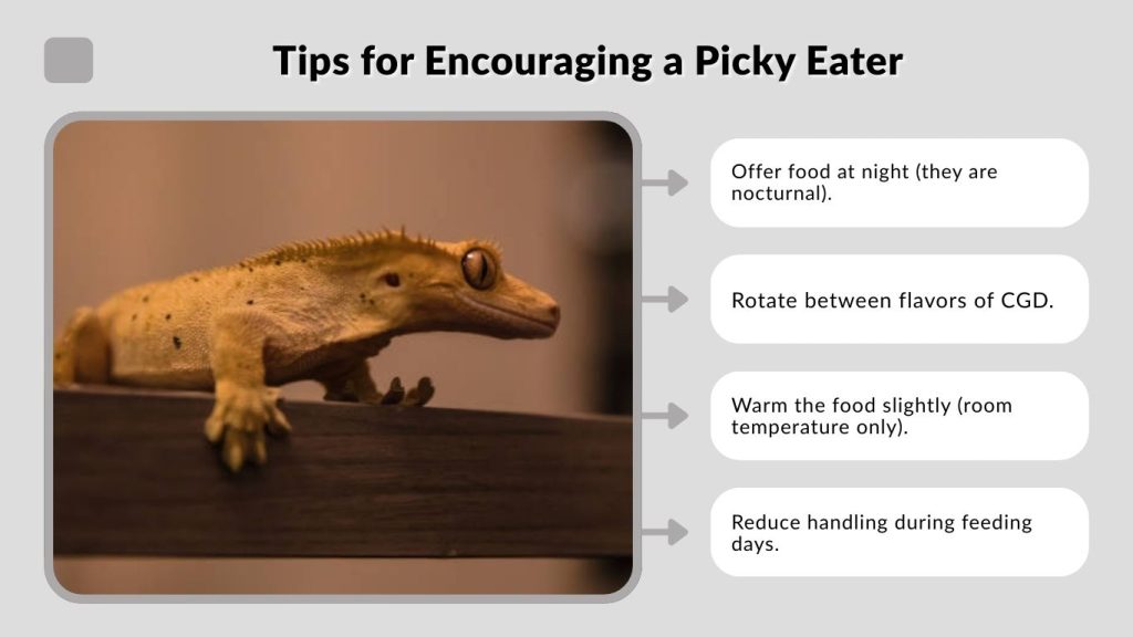 Tips for Encouraging a Picky Eater