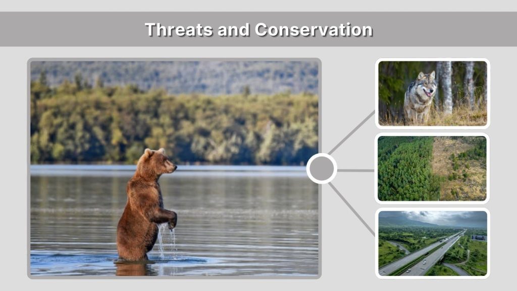 Threats and Conservation