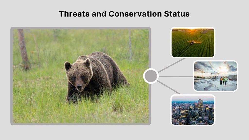 Threats and Conservation Status