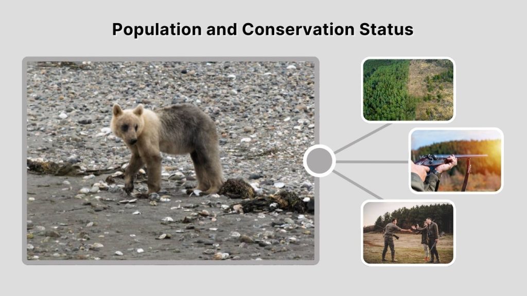 Population and Conservation Status