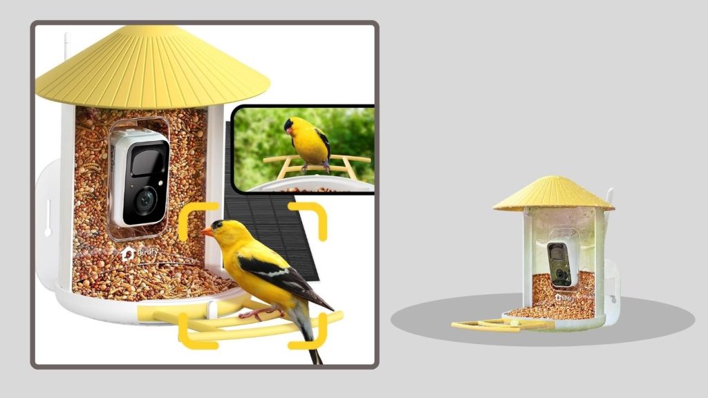 Smart Bird Feeder Camera (Wireless)