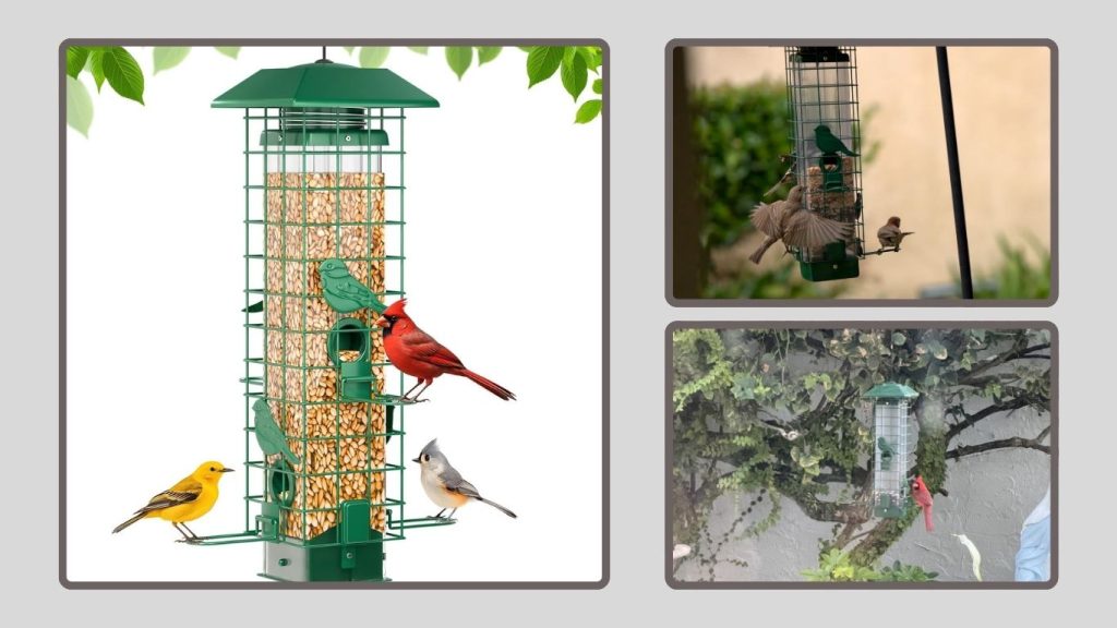 GAINSEN Motion-Activated Squirrel-Proof Bird Feeder