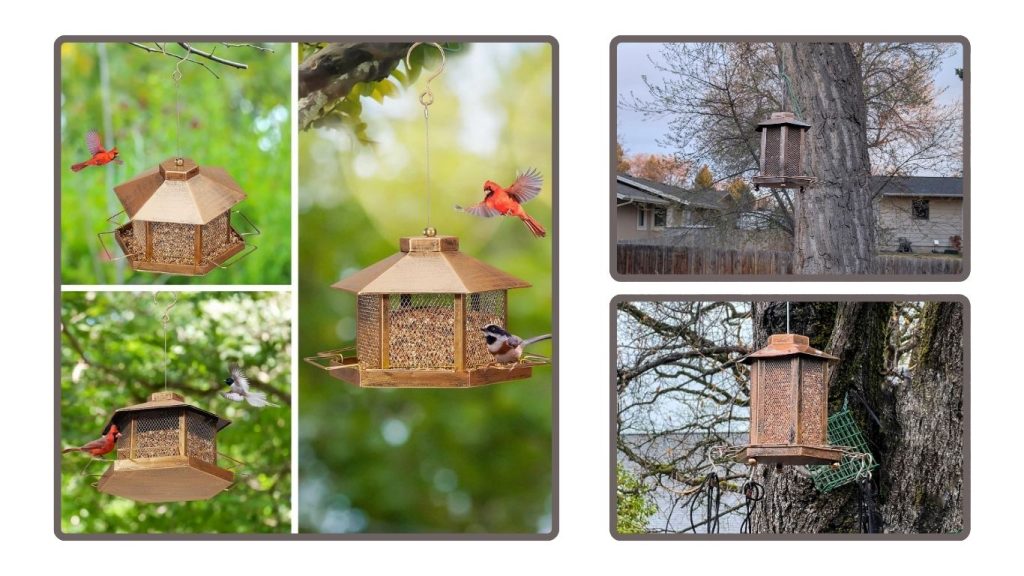 Outdoor Hanging Bird Feeder – Large Capacity Decorative Design
