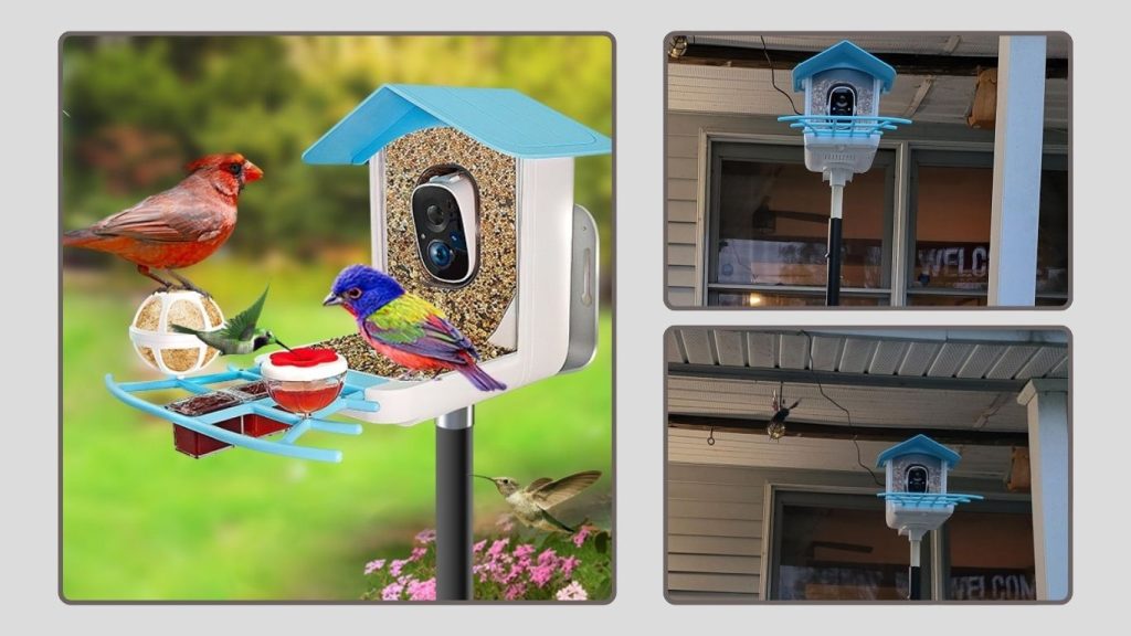 Wireless Bird Watching & Playback Identify House Bird Camera