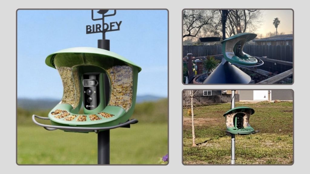 Birdfy 2 Smart Bird Feeder with Dual-Lens Camera