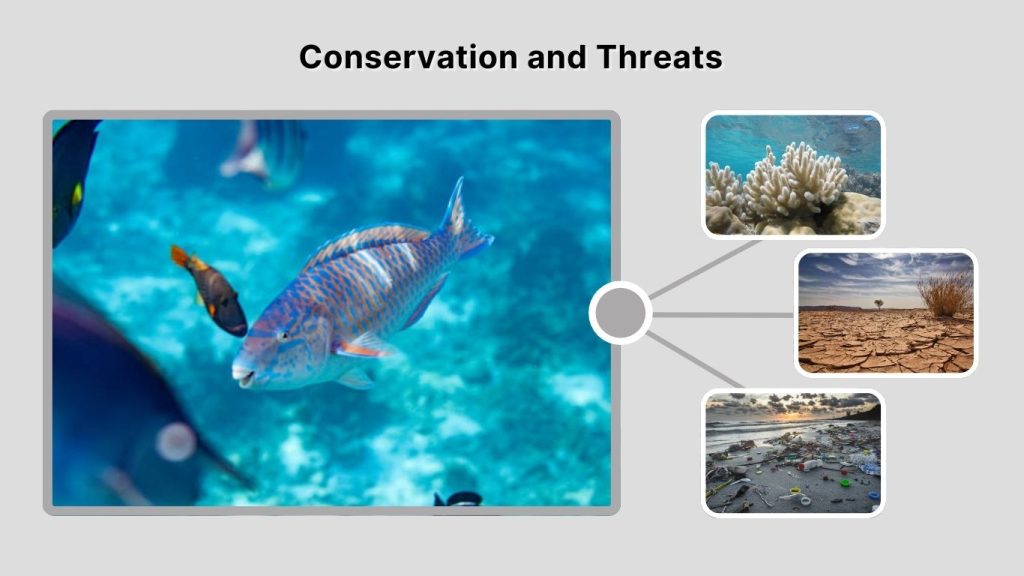 Conservation and Threats