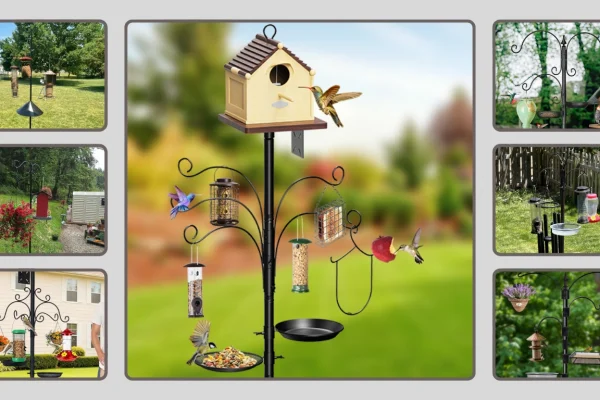 7 Best Bird Feeder Poles for Outdoors Heavy Duty Review in 2026