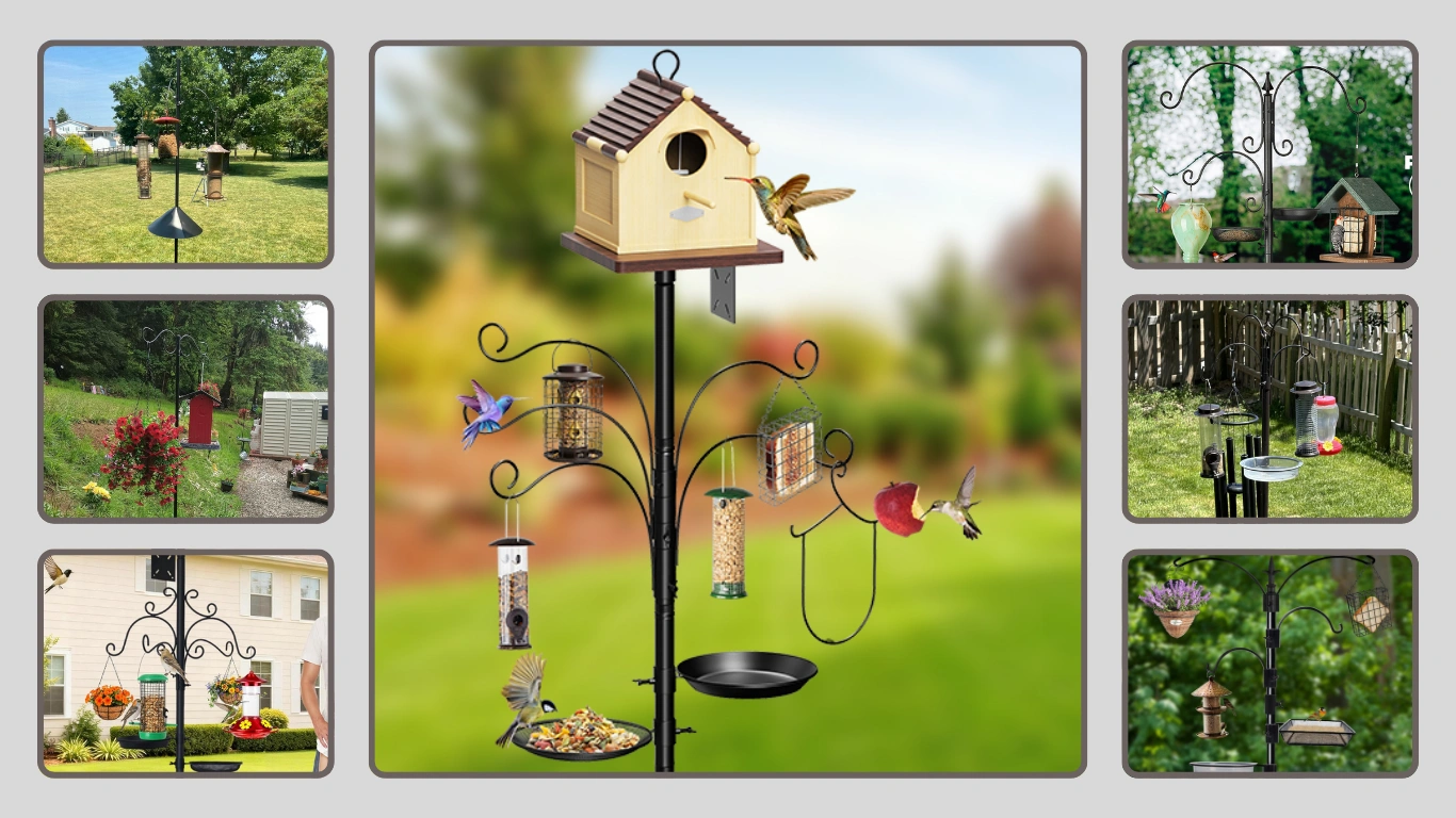 7 Best Bird Feeder Poles for Outdoors Heavy Duty Review in 2026