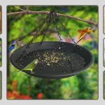 7 Best Bird Feeder Seed Catcher Choose for Perfect Birds