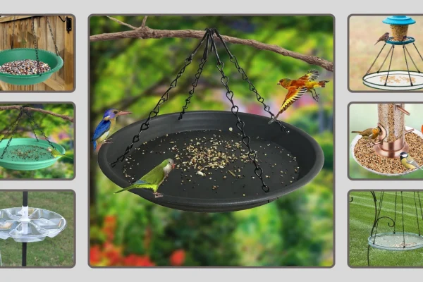 7 Best Bird Feeder Seed Catcher Choose for Perfect Birds